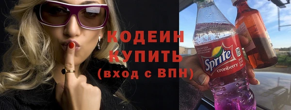 молекула духа Ладушкин