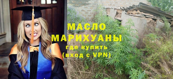 молекула духа Ладушкин