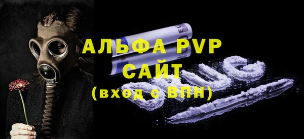 молекула духа Ладушкин