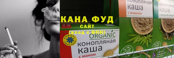молекула духа Ладушкин