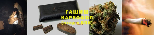 молекула духа Ладушкин