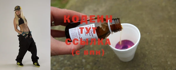 молекула духа Ладушкин