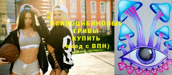 молекула духа Ладушкин