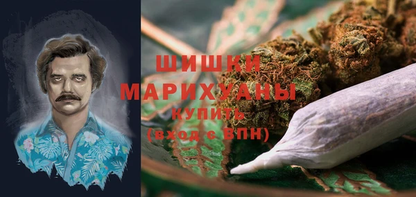 молекула духа Ладушкин