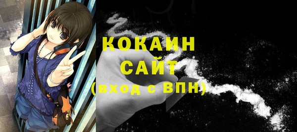 молекула духа Ладушкин