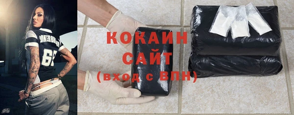 молекула духа Ладушкин