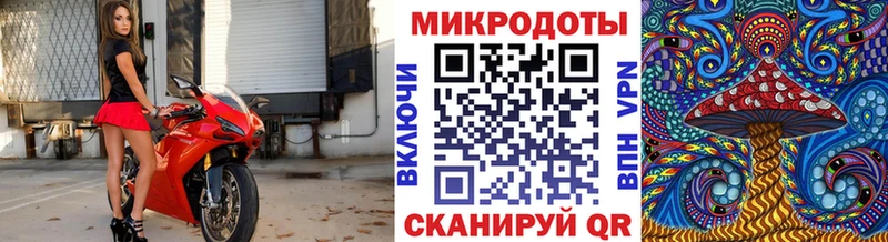 Псилоцибиновые грибы прущие грибы Купить закладки Новочеркасск